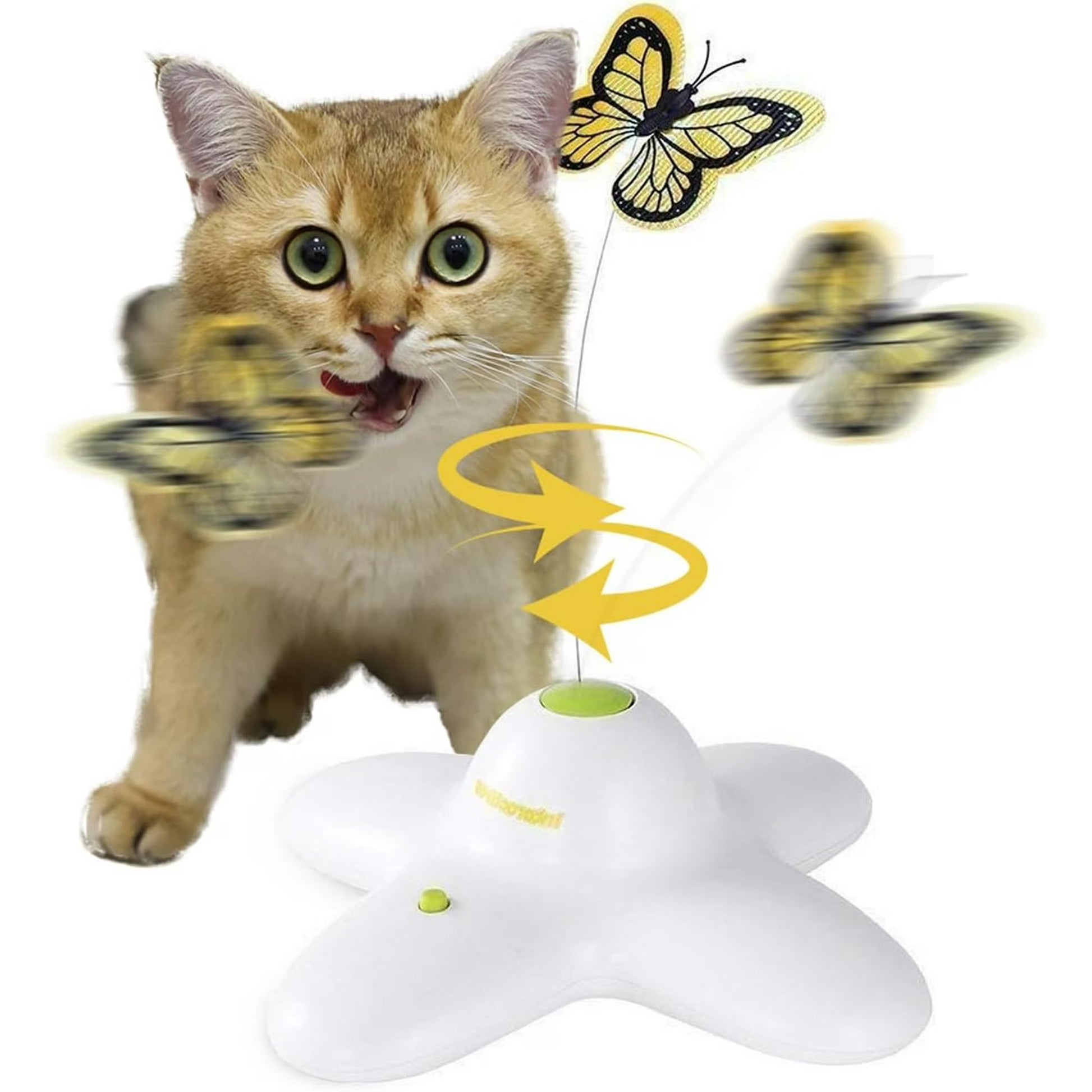 Interactive Fluttering Butterfly Cat Toy Automatic Rotating Wand for Indoor Cats Stimulates Hunting Instincts Engaging Kitten Exercise Fun and Mental Stimulation