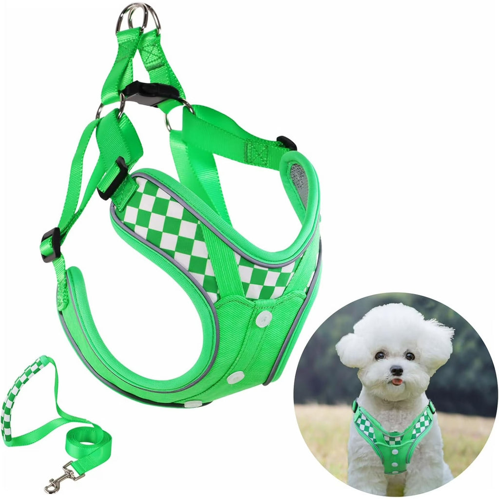 Adjustable Dog Denim Vest Harness with Matching Leash Set, Breathable Padded Step-In Harness for Small to Medium Dogs, Perfect for Walking, Running, Training and Outdoor Adventures (XS Green)