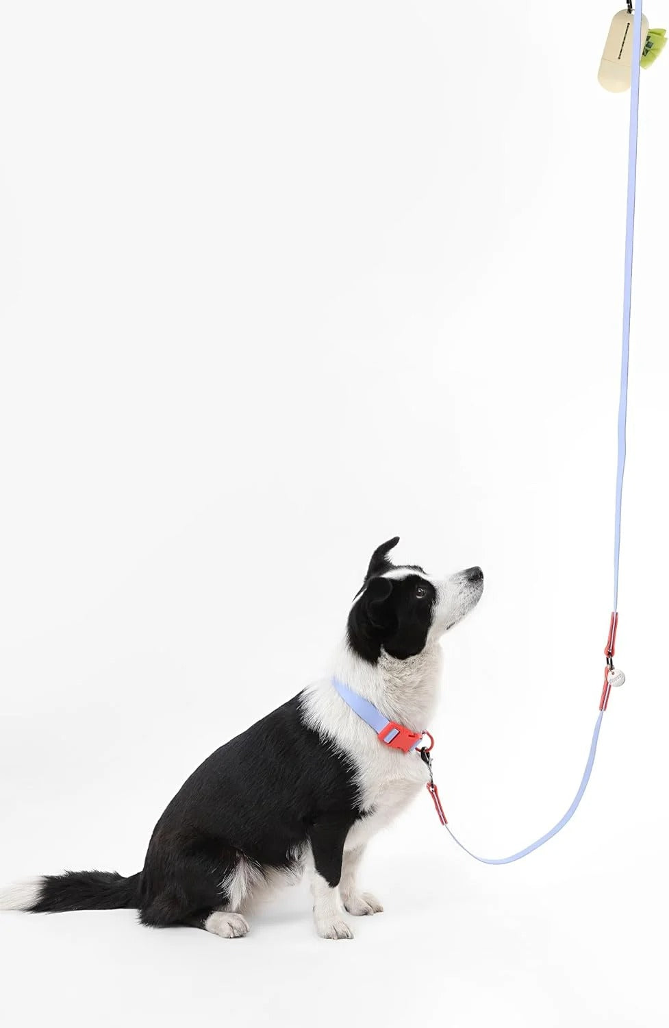 Adjustable Large Dog Hands-Free 6-in-1 Waterproof Leash and Collar Set with LED Flashlight, Poop Bag Holder, Bag Dispenser, Multi-Function Walking Gear for Small to Large Dogs, 8FT Periwinkle and Red