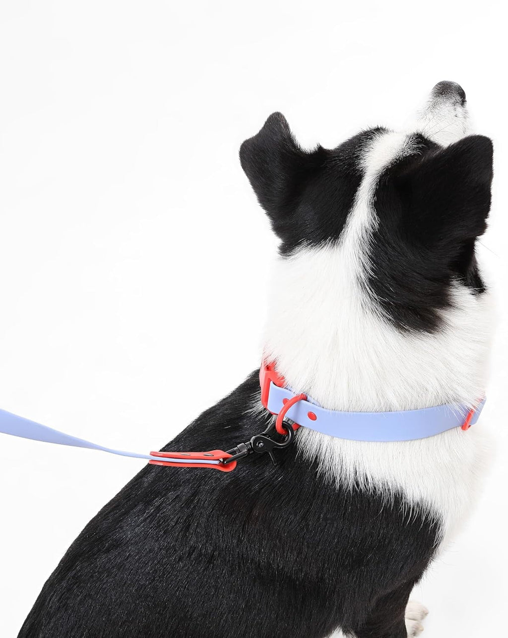 Adjustable Large Dog Hands-Free 6-in-1 Waterproof Leash and Collar Set with LED Flashlight, Poop Bag Holder, Bag Dispenser, Multi-Function Walking Gear for Small to Large Dogs, 8FT Periwinkle and Red